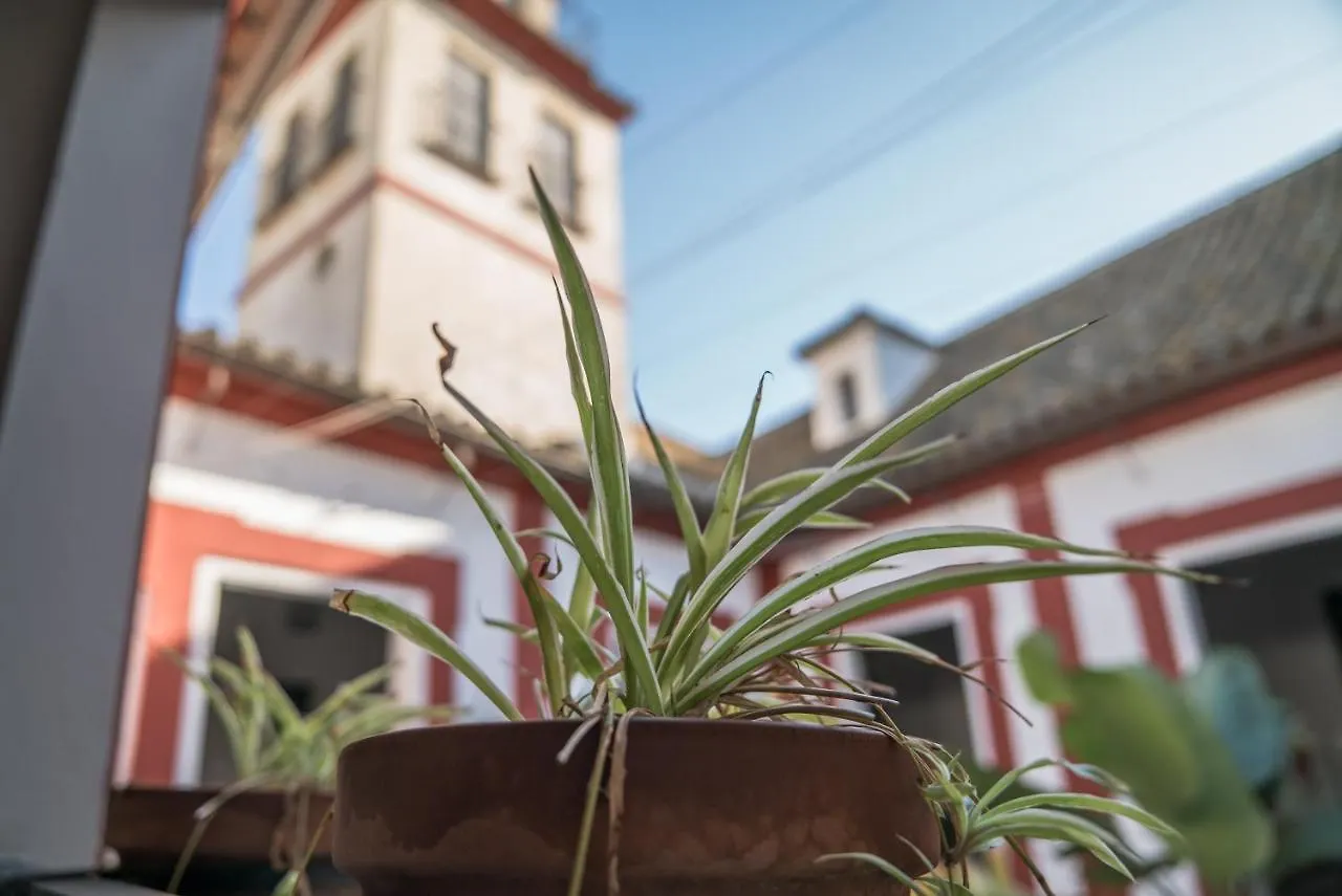 דירות Sanlúcar de Barrameda Loft En Casa Palacio Mergelina Parking Gratis